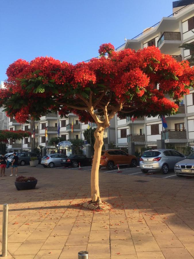 Top Floor Sea View Central Holiday Home Maspalomas  Exterior photo